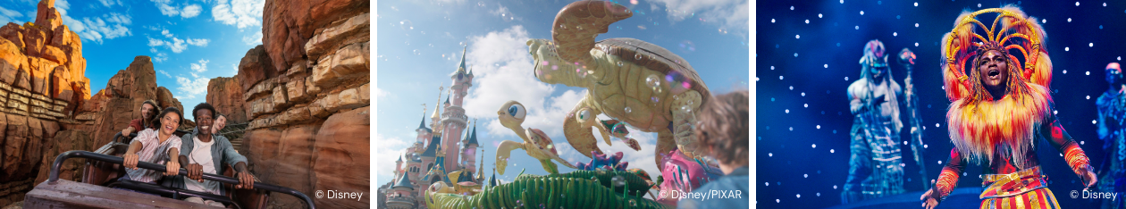 Disneyland Park
