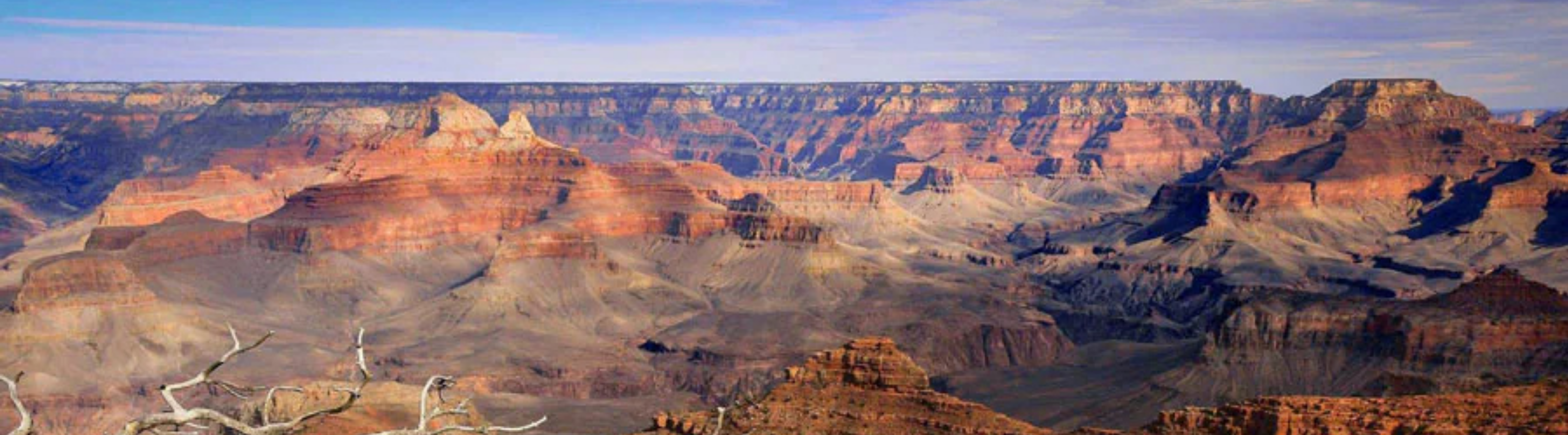 NatGeo Last Chance Offer